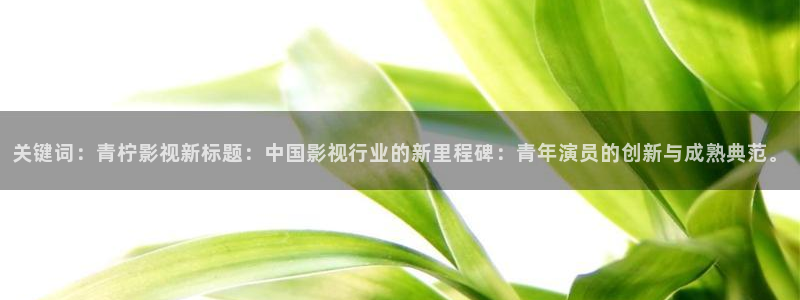西瓜摄影图片