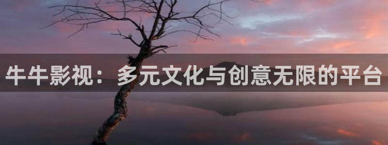西瓜高清免费观看