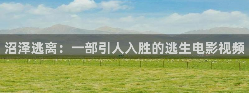 西瓜视频大全免费