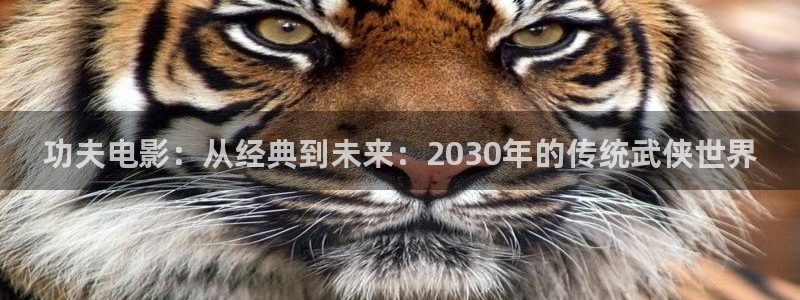 西瓜视频官方最新版本的
