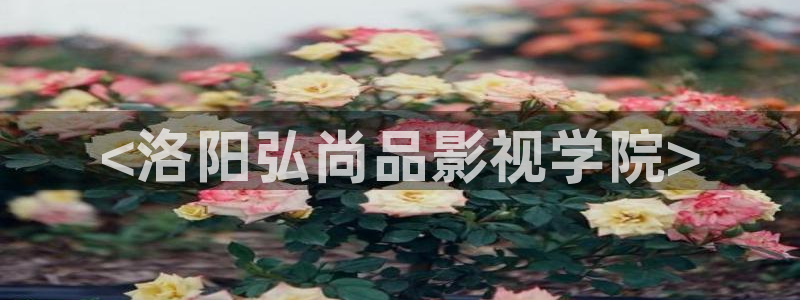 西瓜网站在线观看