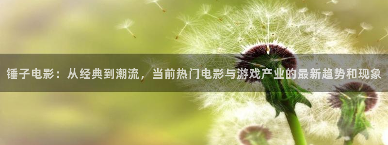 老九门免费观看完整版西瓜