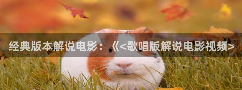 西瓜影院在线观看免费电影