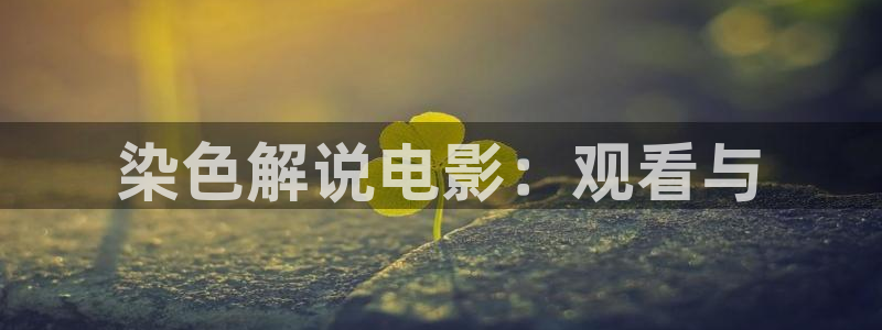 西瓜社在线