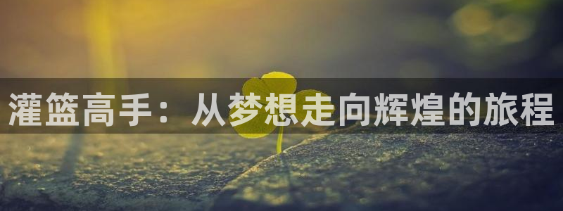 西瓜的图片大全