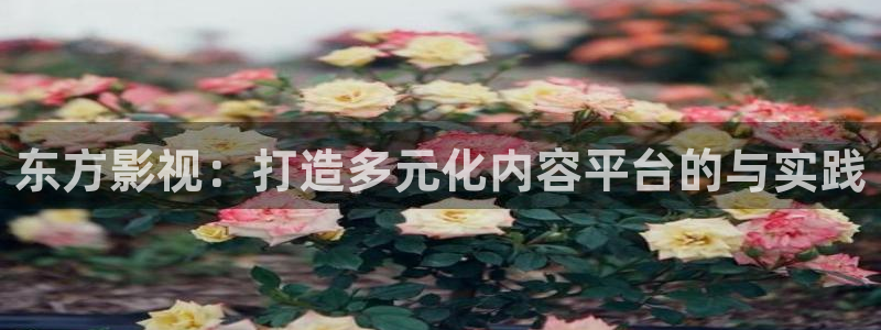 围城电视剧完整版免费观看西瓜