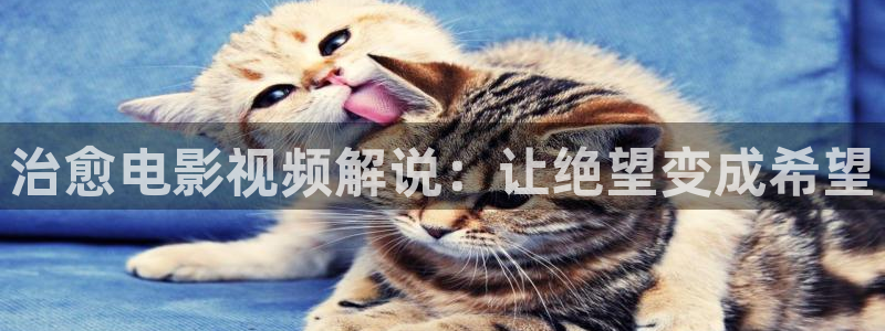 如懿传免费观看在线完整版全集西瓜