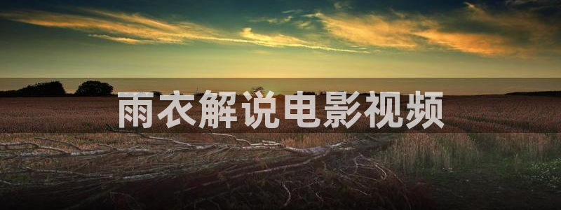 西瓜 在线