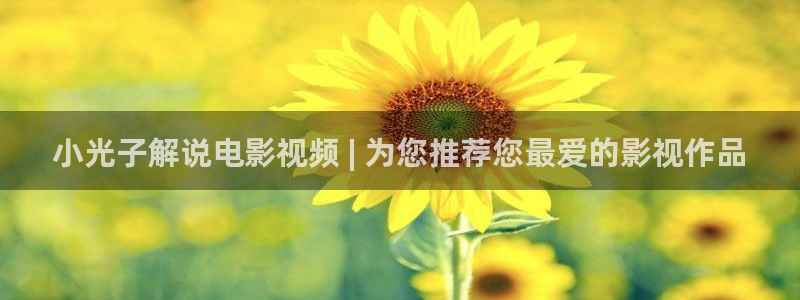 乔家的儿女免费观看西瓜