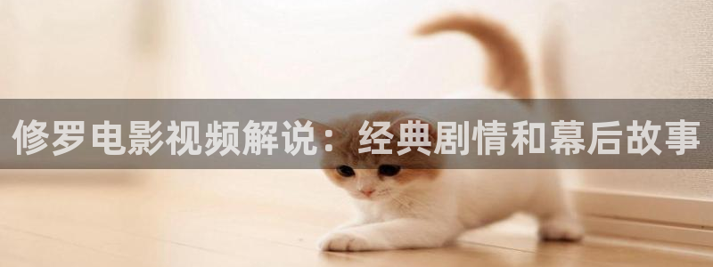 西瓜网在线电影