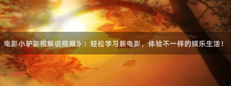 西瓜天狼影视在线免费观看