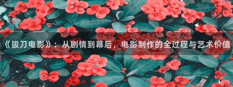 西瓜视频在线看