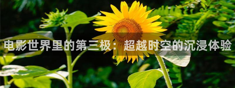 沉香如屑免费观看西瓜