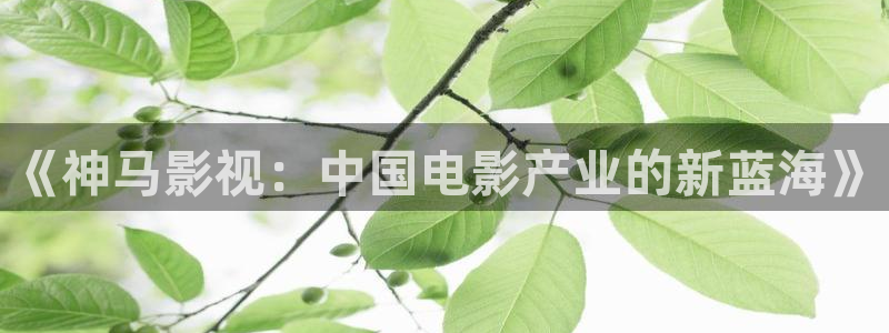 宁都西瓜