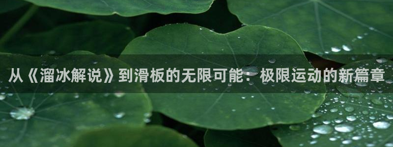 西瓜 在线