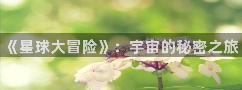 西瓜中的