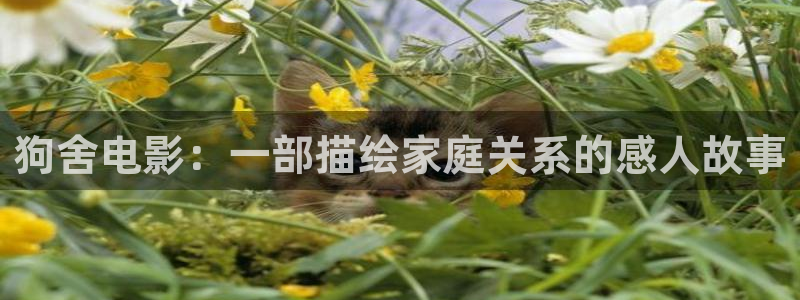宁波西瓜