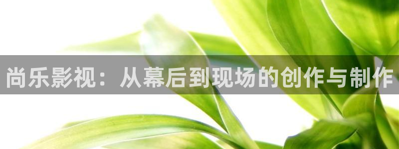 西瓜播放