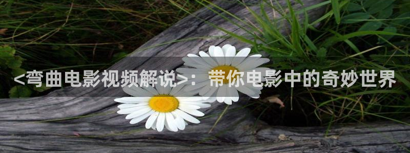 西瓜影院下