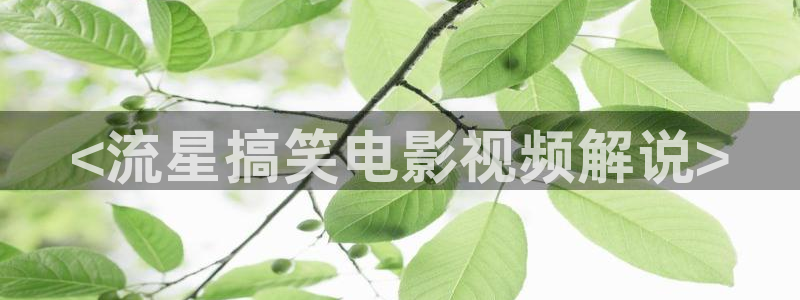 老九门免费观看完整版西瓜