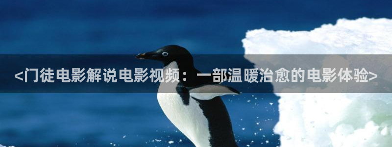 我们的四十年在免费观看西瓜
