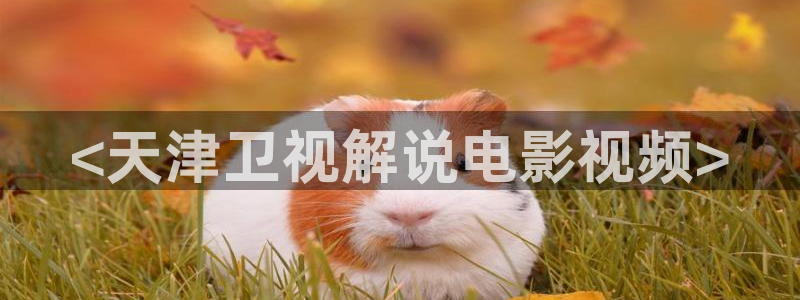 西瓜大片