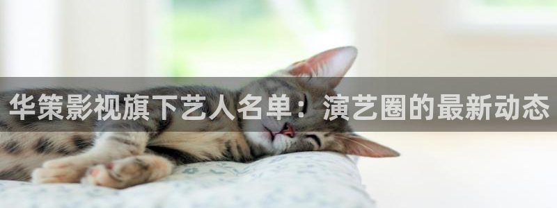 扬名立万在线播放免费西瓜