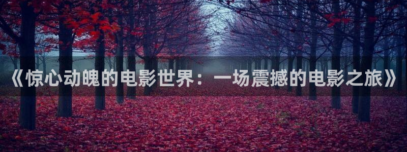 西瓜视频最新版