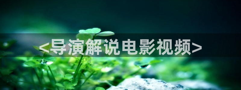 人鱼小姐国语版全集在线观看西瓜