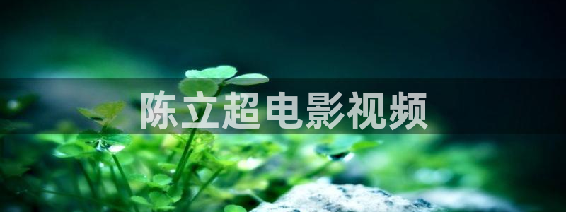 五月槐花香电视剧全集免费西瓜