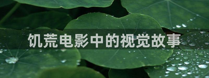 西瓜影院怎么免费看剧