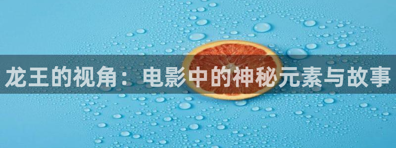 玫瑰之战电视剧免费观看西瓜影院