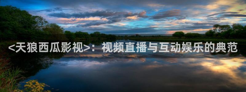 西瓜影院 免费观看