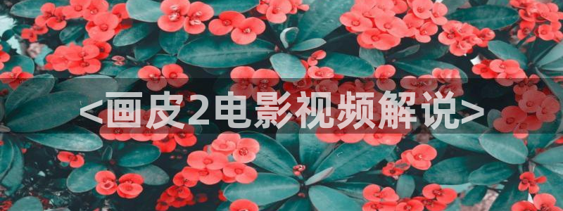 午夜西瓜影院
