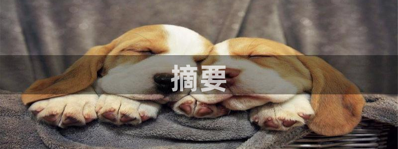 西瓜视电影