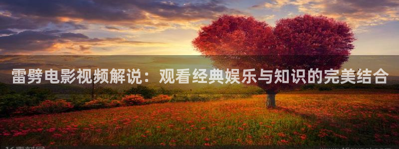 西瓜视频西瓜影院在线观看