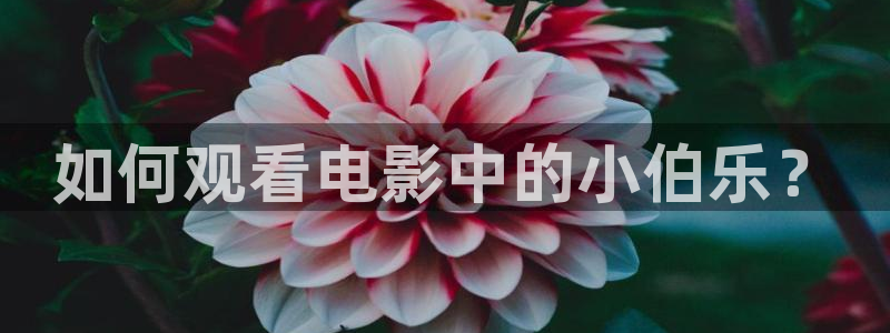 视频西瓜