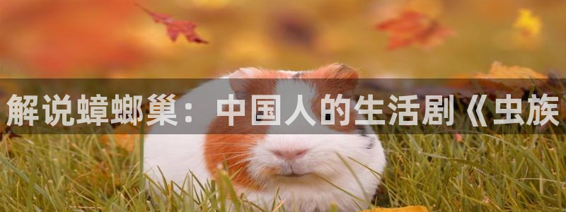 姐妹情室西瓜影院：解说蟑螂巢：中国人的生活剧《虫族
