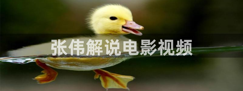 无名电影西瓜：张伟解说电影视频