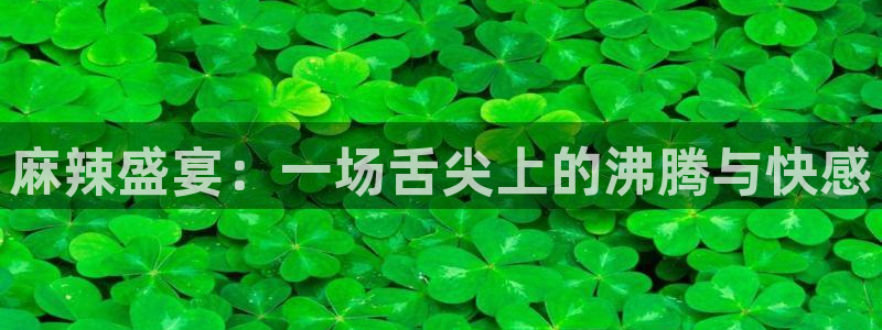 西瓜被窝电影院