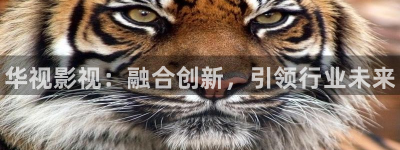 长相思第一季免费观看西瓜影院