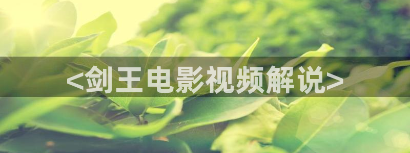 西瓜天狼影院2024电视剧在线观看网站