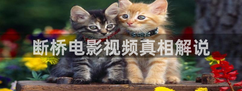 西瓜播放器免费高清在线电影