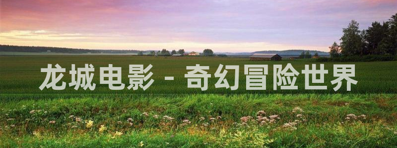 西瓜电影吧
