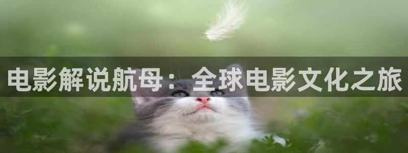 西瓜全集免费观看