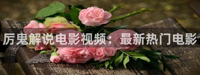 西瓜电影泽艺