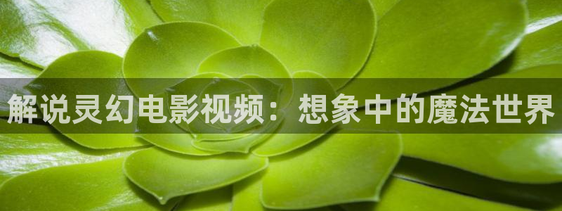 十八在线观看免费西瓜播放电视剧