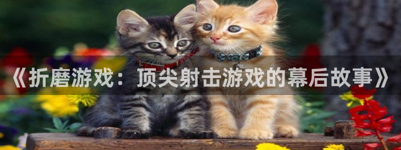 西瓜影院高清免费