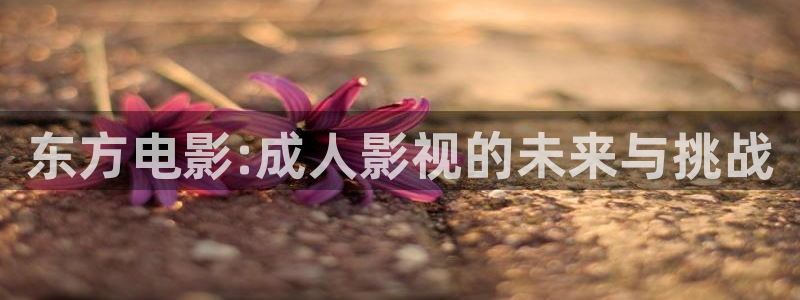 樱花西瓜影院电视剧电影免费观看