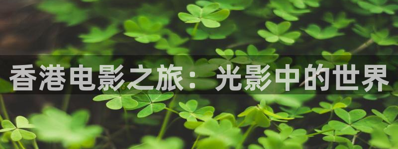西瓜影院在线理论